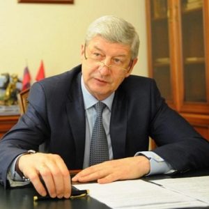 На территории «Лужников» строятся два павильона - Лёвкин